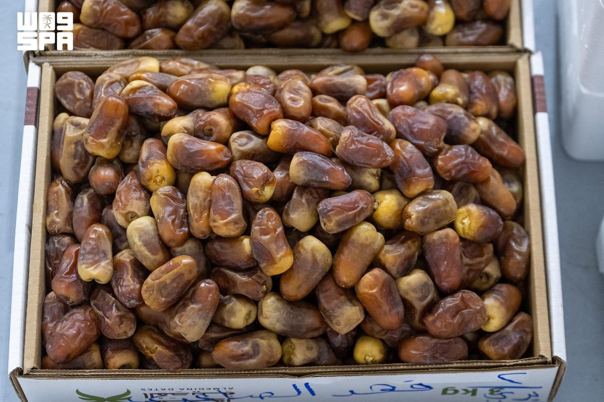 SPAeconomic's tweet photo. "برني المدينة" و"برني العيص" صنفان يجسدان تنوع تمور المدينة المنورة وجودتها.
https://t.co/3ob8dBN3ne
#واس https://t.co/yNeHMgEoLg