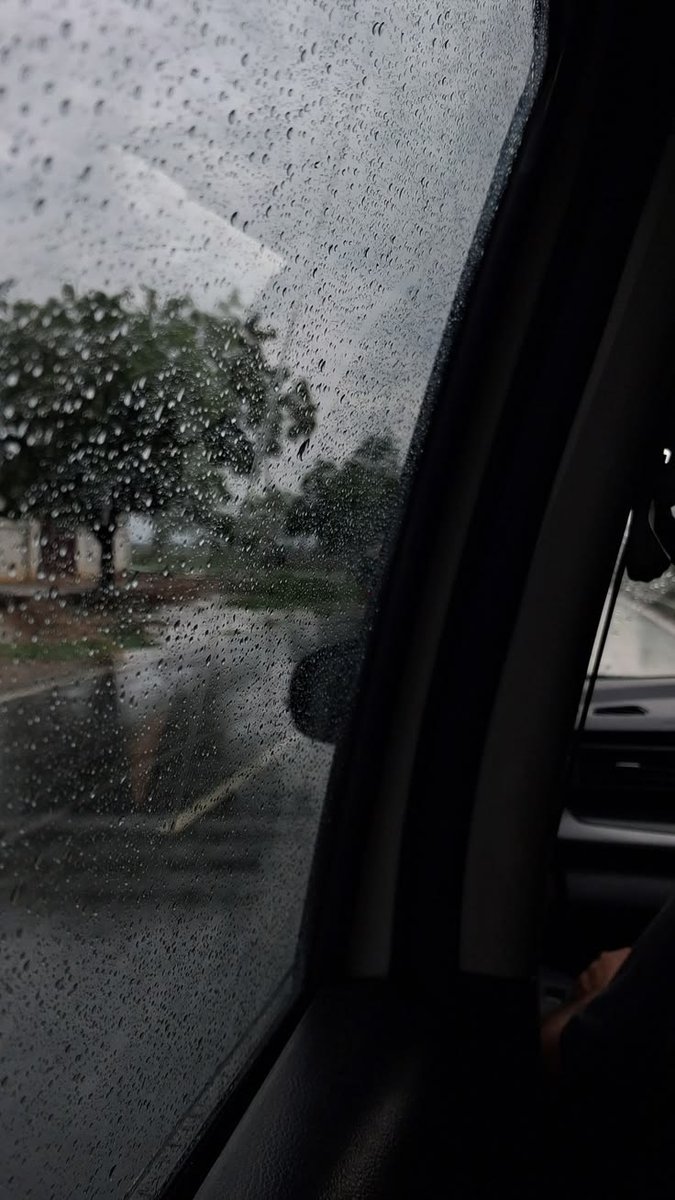 spooky_nature's tweet photo. POV: you are getting bored in a roadtrip but it starts to rain https://t.co/1EGKLg9PNV