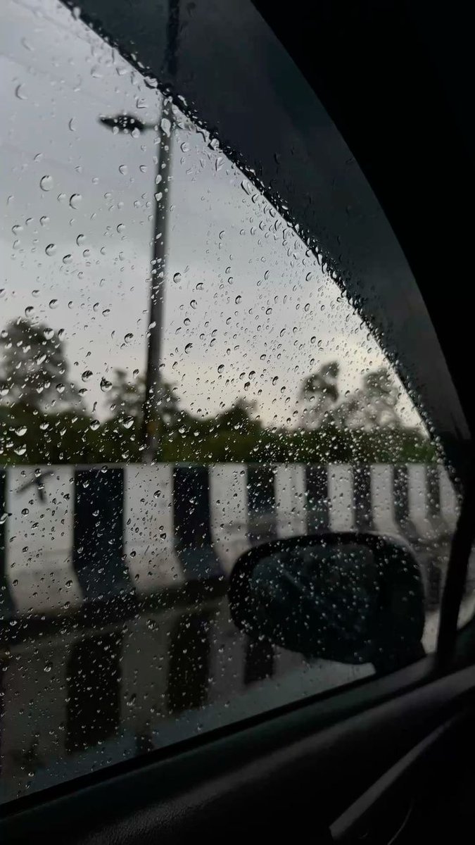 spooky_nature's tweet photo. POV: you are getting bored in a roadtrip but it starts to rain https://t.co/1EGKLg9PNV