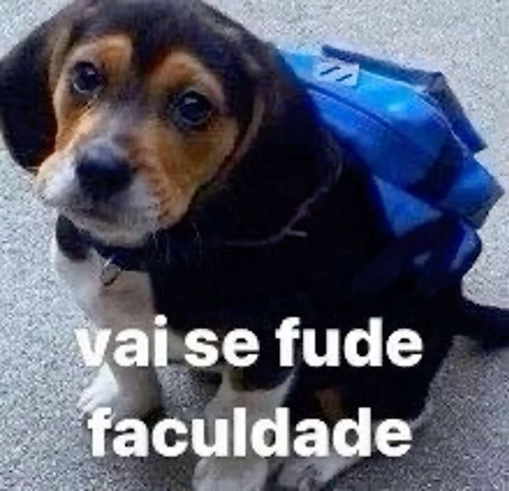 brokenlovez's tweet photo. vocês não vão acreditar quem tem palestra amanhã 9h valendo hora complementar https://t.co/bteEtoxpyK