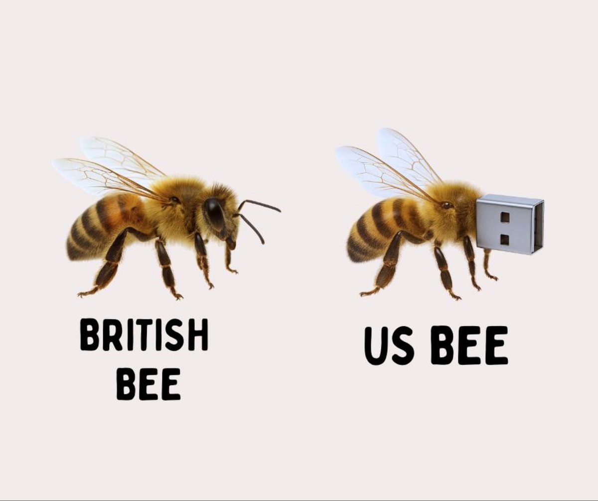EnglishPathwayz's tweet photo. English vs American English https://t.co/vB1AINCf41