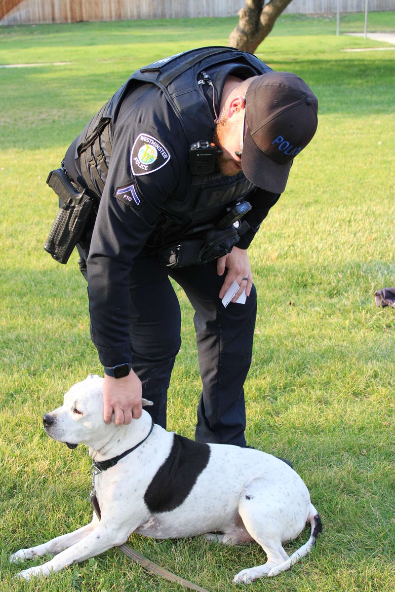 WestminsterPD's tweet photo. Thank you, Westminster! It is a privilege to serve this community and we are so grateful for the support from our neighbors. We had a great time last night for National Night Out! #WestyPD https://t.co/W9WBjNEsq4