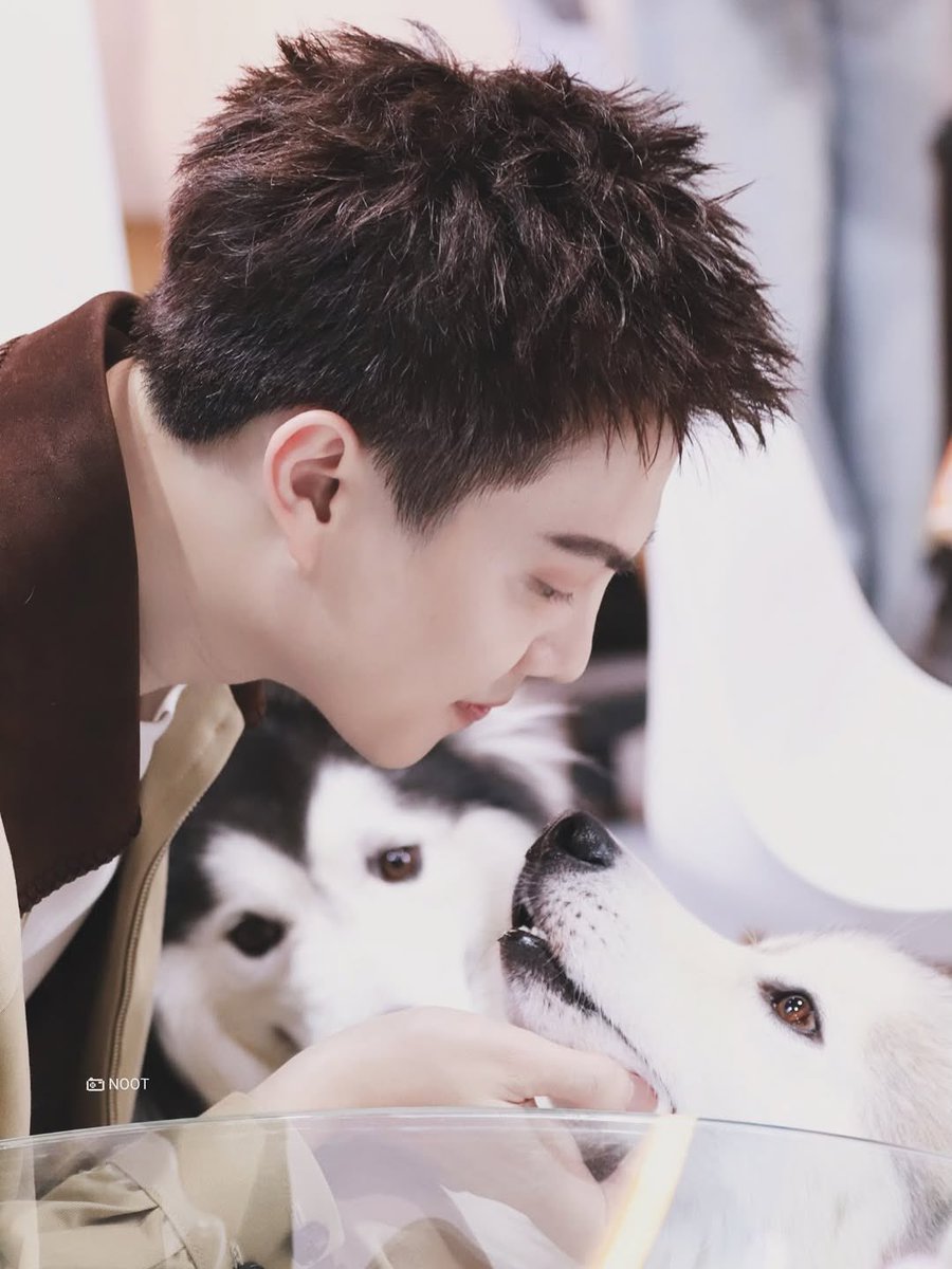 BenzAlertUSA's tweet photo. 08052026 | IG bbenzalert 

The purest kind of love 🐾🫶🏻 #mysonchildstory

❣︎ @bb_benzalert 
Benz Atthanin 
#BENZALERT #แบตเตอรี่ของอเลิ๊ต https://t.co/50TraHLgcg