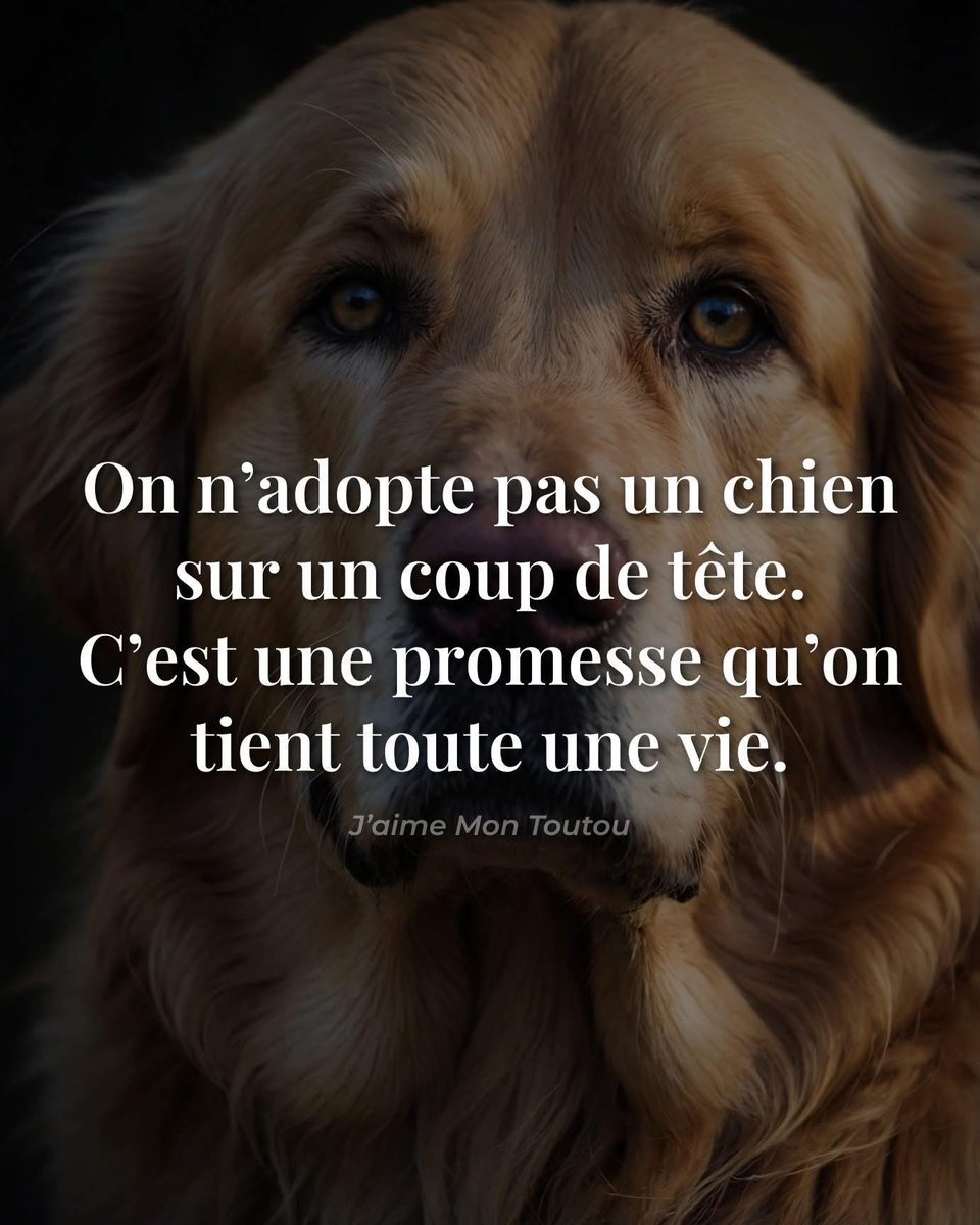 beduneb's tweet photo. https://t.co/vWLfyLQmH1