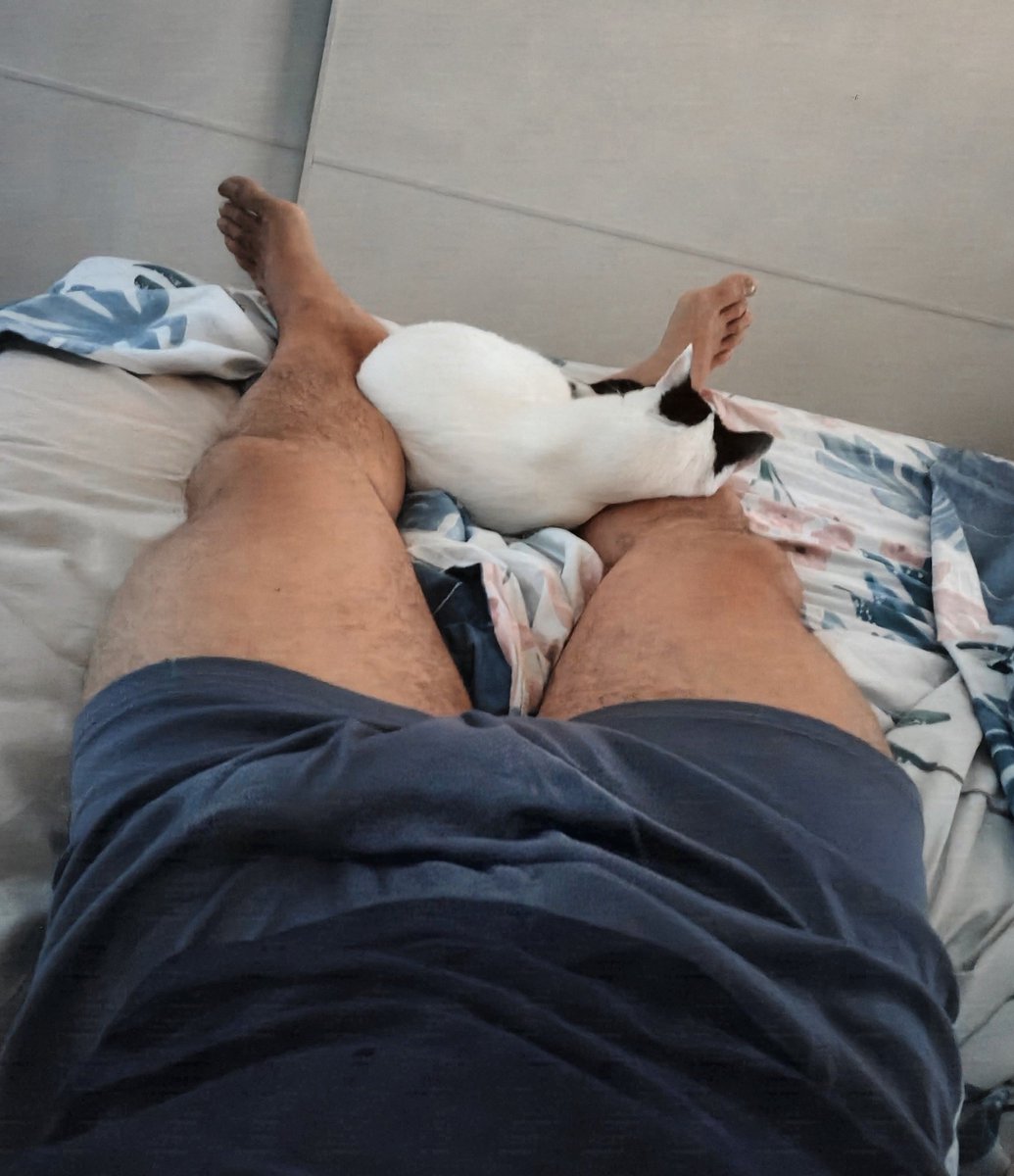 JoseMariaheaven's tweet photo. Una siestita bien acompañado.  ❤️🐱 https://t.co/xO02JLIUFW