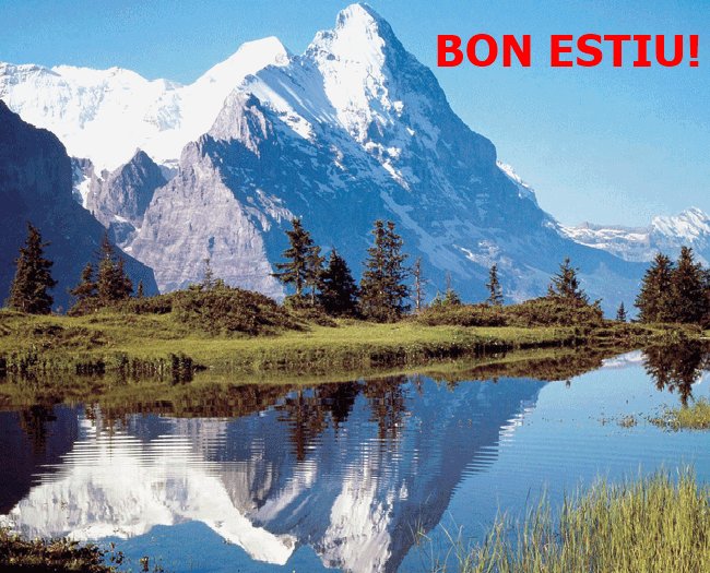 OlgaTri's tweet photo. "Durant el dia o la nit, somia amb com pot ser la teva vida. Durant l'estiu, reuneix forces per a no rendir-te i fes tot el que puguis per aconseguir aquest somni". BON ESTIU I BONES VACANCES!!! https://t.co/ZV9qoEhMKB