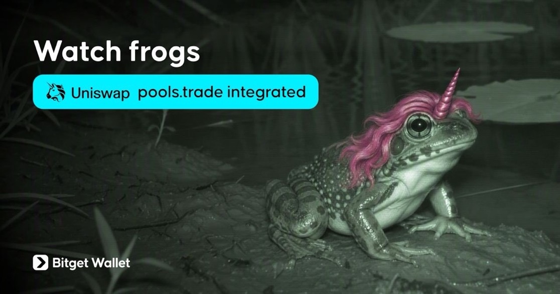 BitgetWalletPT's tweet photo. Integramos o https://t.co/4F0BS5rhGf para que você possa acompanhar os frogs na Bitget Wallet. @Uniswap

Negocie diretamente a partir das redes compatíveis.

Croak em breve. 🐸 https://t.co/C9dggf7Enq