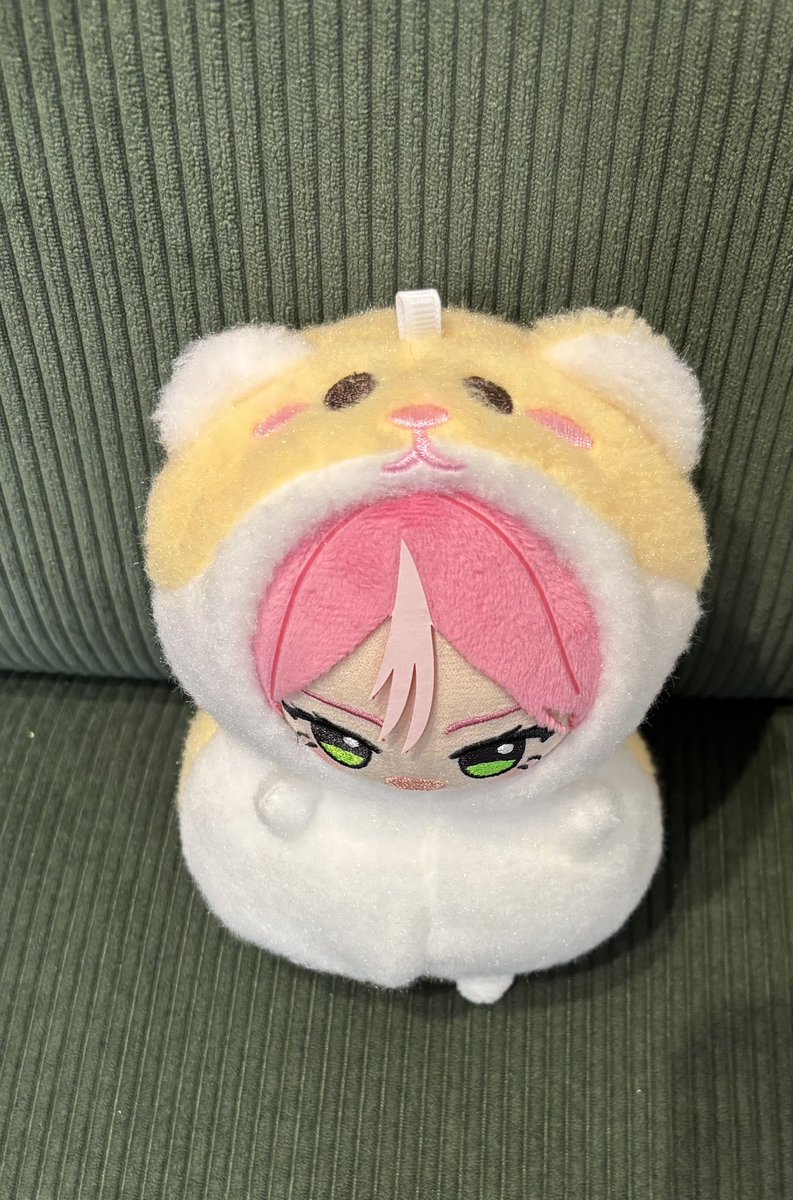 ひらりん (@hirarinkira) / Posts / X
