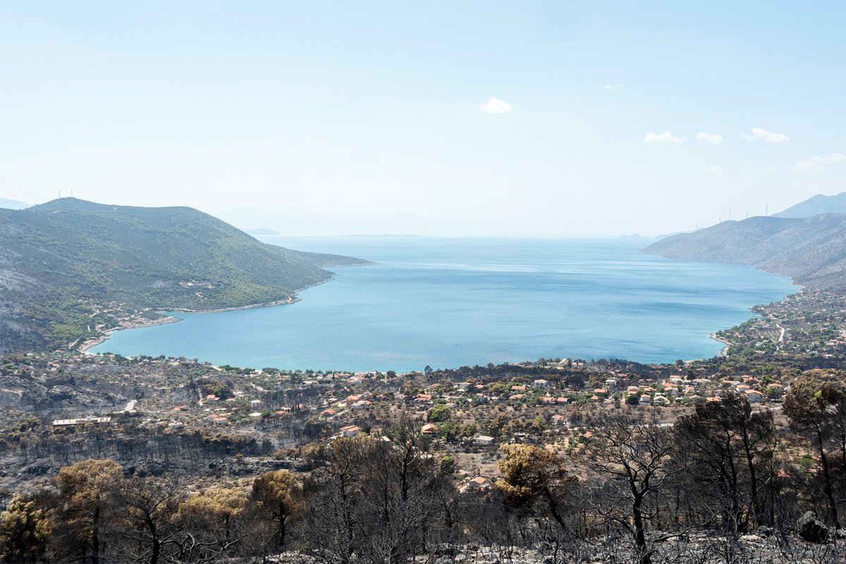 documentonews's tweet photo. ☠️ Αυτό είναι το Πόρτο Γερμενό που άφησε ο Μητσοτάκης
💀 Κρανίου τόπος https://t.co/NNlWNqpcfd