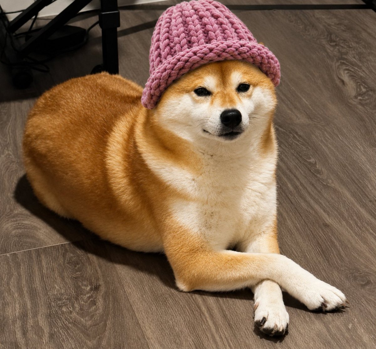 ardibags's tweet photo. send wif hat on solana to $100m and migrate to robinhood to reach $1b https://t.co/eD6uRDmzll