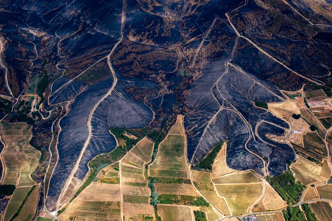 PauCostaF's tweet photo. ¿Por qué es importante? 

Esta variedad crea un paisaje más resiliente que desempeña un papel importante tanto en la prevención como en la extinción de los incendios forestales:

👉rompe la continuidad horizontal y vertical de la vegetación dificultando así que en grandes zonas el fuego propague con alta intensidad.

👉genera oportunidades más seguras para los equipos de extinción gracias a las zonas abiertas que forman parte de este mosaico.