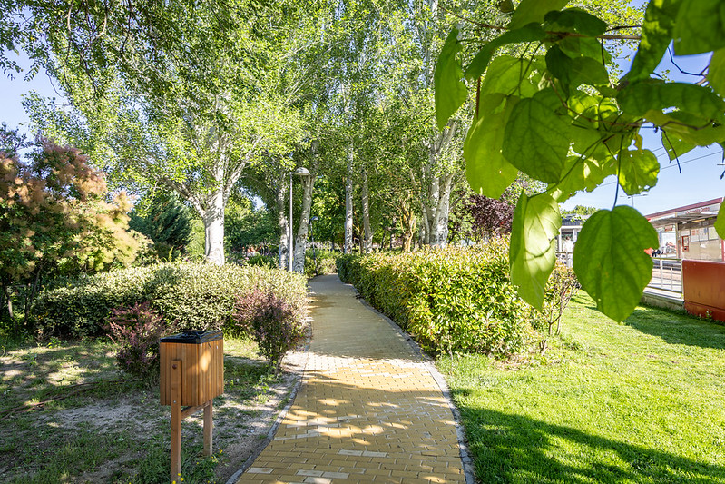 TeleBoadilla tweet picture