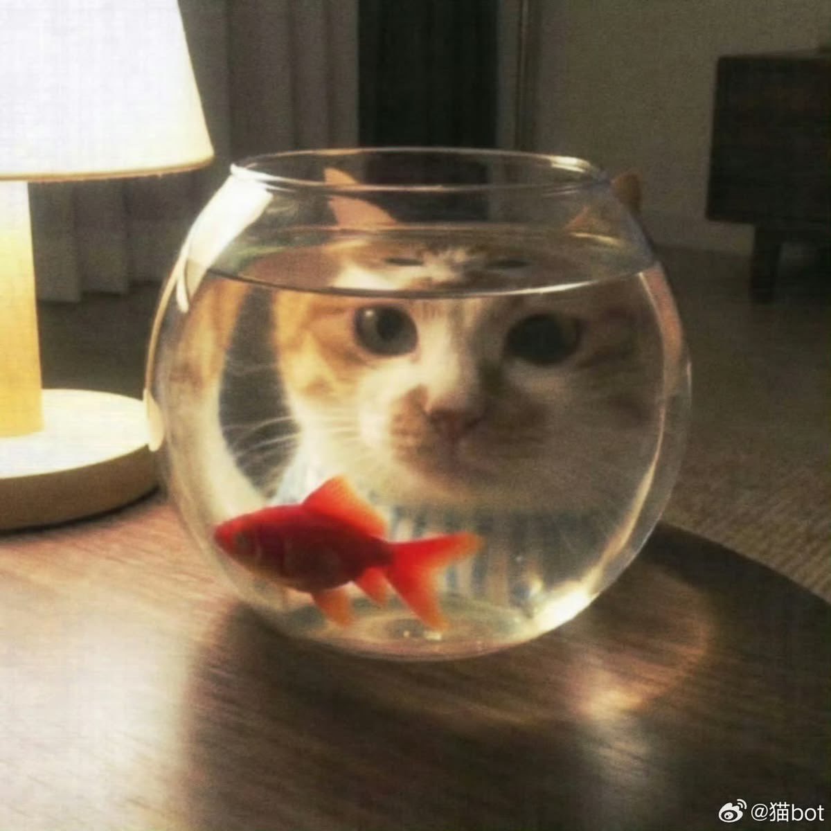 prtygal777's tweet photo. ⋅˚₊‧*:･𓆝.°•⋅˚ https://t.co/UqkXVXobMM