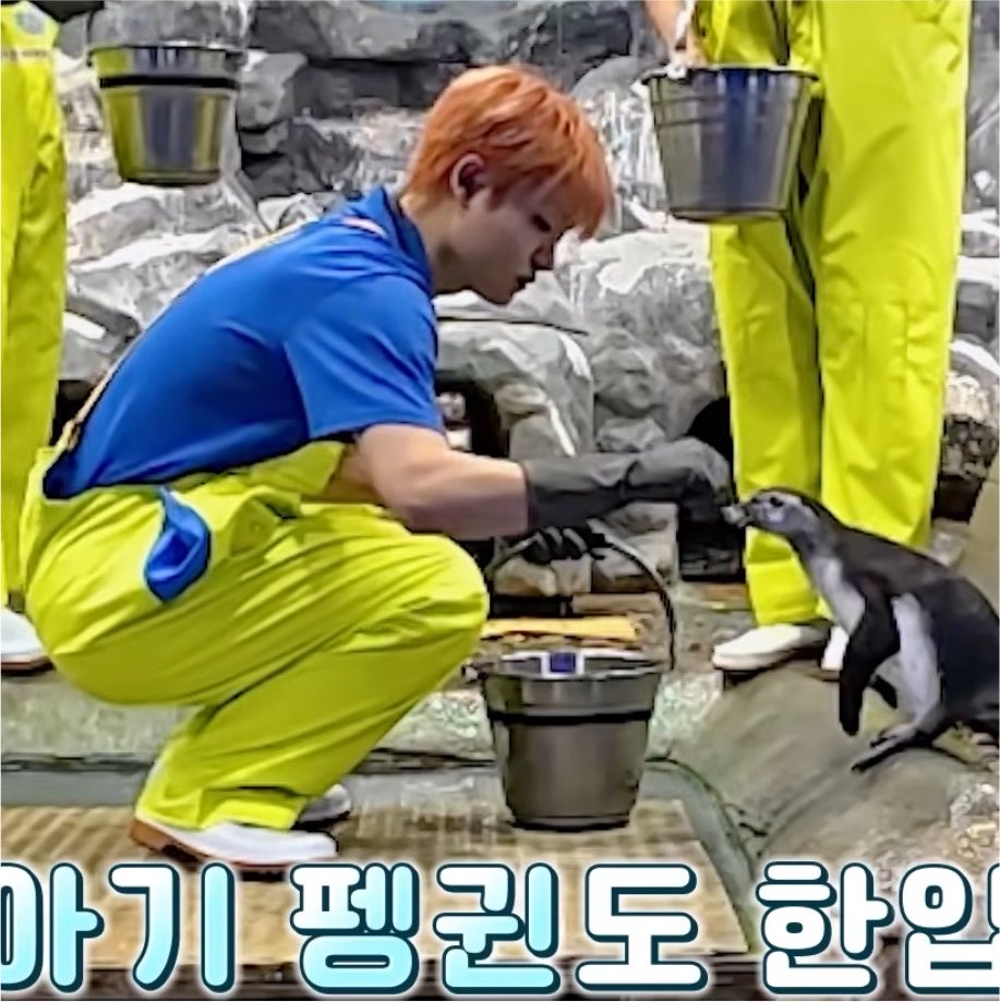 zet3l4's tweet photo. 귀여워귀여워귀여어 https://t.co/JL6dQ20Ao5