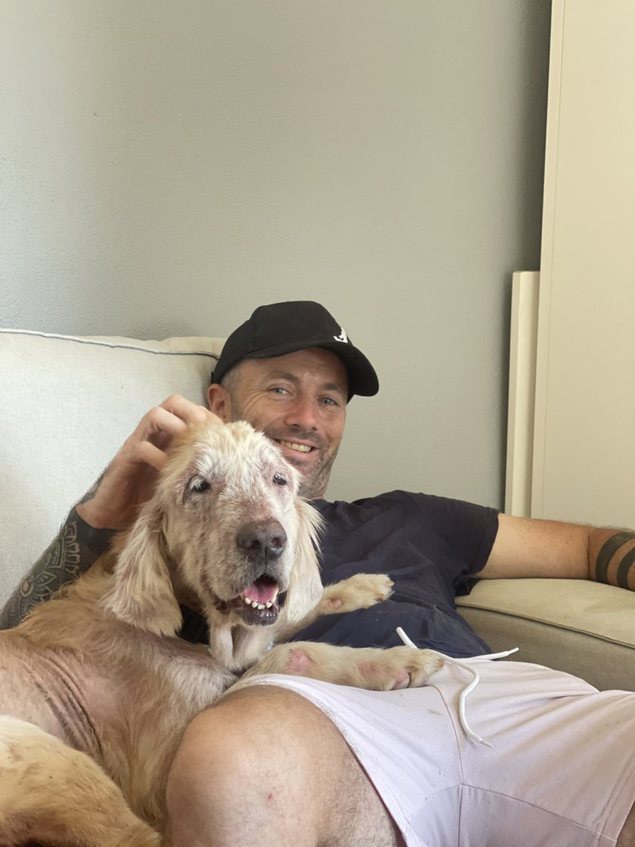 wearehappydoggo's tweet photo. On 12–13 September, he’s taking on his toughest challenge yet:
🏃 5km every hour ⏰ For 24 hours 📍 On a running track in London
We'll be streaming every minute live as we race to raise the final funds for Tina's Hospital.🐾
https://t.co/hTLi2v9Xb0 https://t.co/3VTutGrUQC