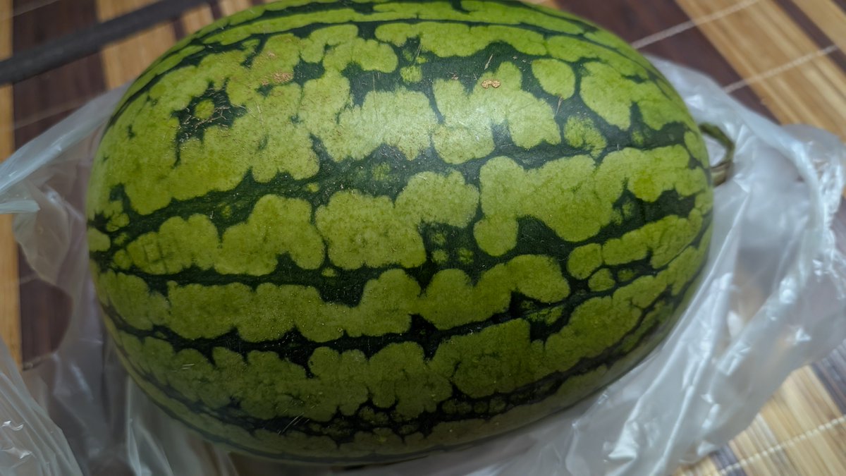 11ban's tweet photo. 頂き物で8玉目🍉 https://t.co/BVIJXKJAHH