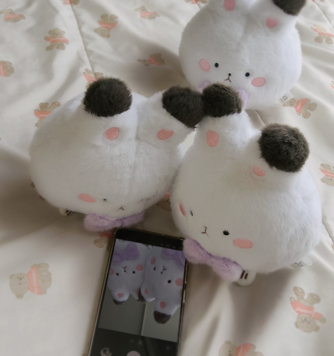 ssh_rabbit's tweet photo. 🐰🐰🐰 https://t.co/2WGakceZCo