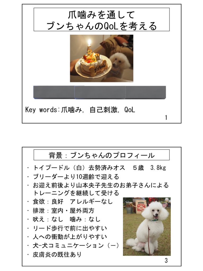 Pomelo_Chang's tweet photo. 行動分析学道場行ってきました！ブンちゃんを題材に半年間実験に取り組んで、悔いもいろいろありながらもたいへん学びをいただきました。指導いただいた島宗先生はじめ、山本央子先生、杉山先生、奥田先生、コーチの先生方、ありがとうございました！ https://t.co/RXweqaZ4t7