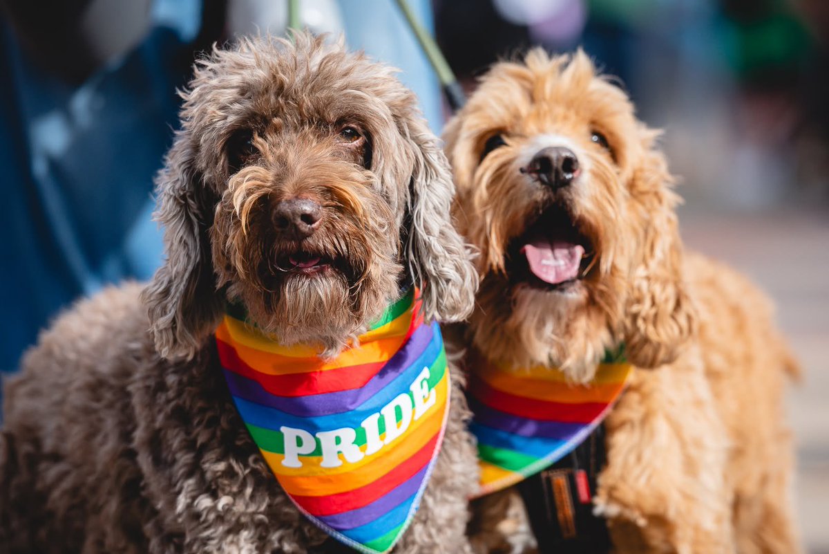 SolihullUpdates's tweet photo. #SolihullPride returns to #Solihull town centre this Saturday, 8th August, bringing a full day of celebration, entertainment and community spirit under the theme "Love is Love”. https://t.co/PdxVT4Beb4 https://t.co/gGn2qnjuOH