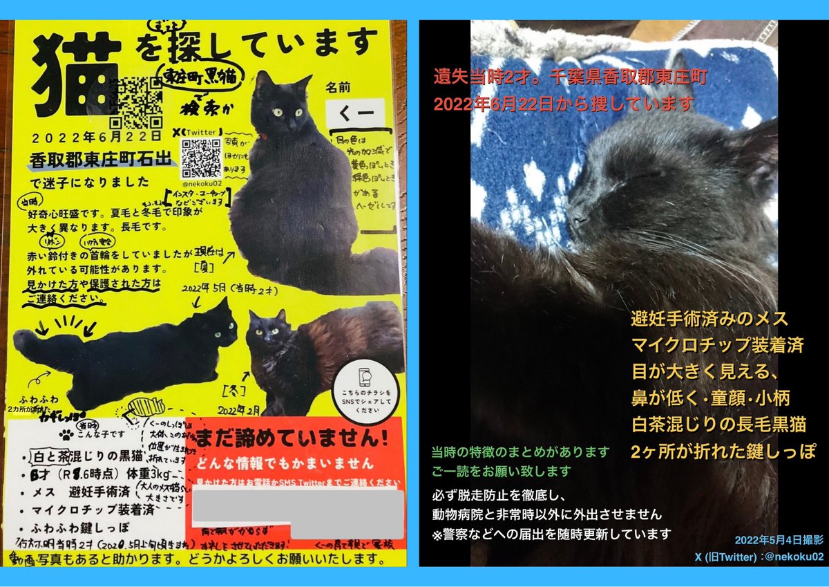 nekoku02's tweet photo. 【千葉県香取郡 #東庄町 長毛黒猫くー♀を探してます】
⭕️2ヶ所が折れた鍵しっぽ
⭕️光の加減で黄↔︎緑に見える目
⭕️成猫のメスらしい小柄

心当たりのある方⬇️をご覧ください。特徴等をまとめています。ご連絡をお待ちしております🙏

東庄町 石出 '22年6/22 迷子 下総橘駅 香取市 旭 銚子 神栖 https://t.co/2uuQZTswTr