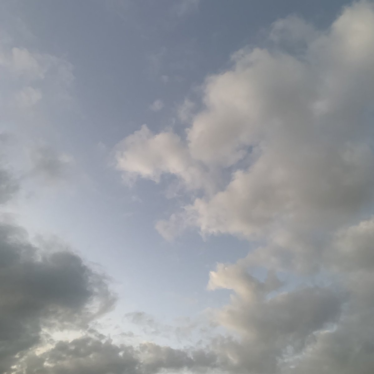 BE1ST_withBESTY's tweet photo. オムライスもプリンも無くてごめんなさい！笑

"大悟の日"は気持ちを再確認出来る日でもあるな、と思い振り返ってみたよ！

私の心は何も変わってないよ！

いつも幸せをありがとう！

さっきお散歩した時の空の写真です、どうぞ🫶

#毎月5日は大悟の日
#DAIGOと豊洲行こうか
#TAGRIGHT
#小林大悟 https://t.co/0zfVXnsOAl