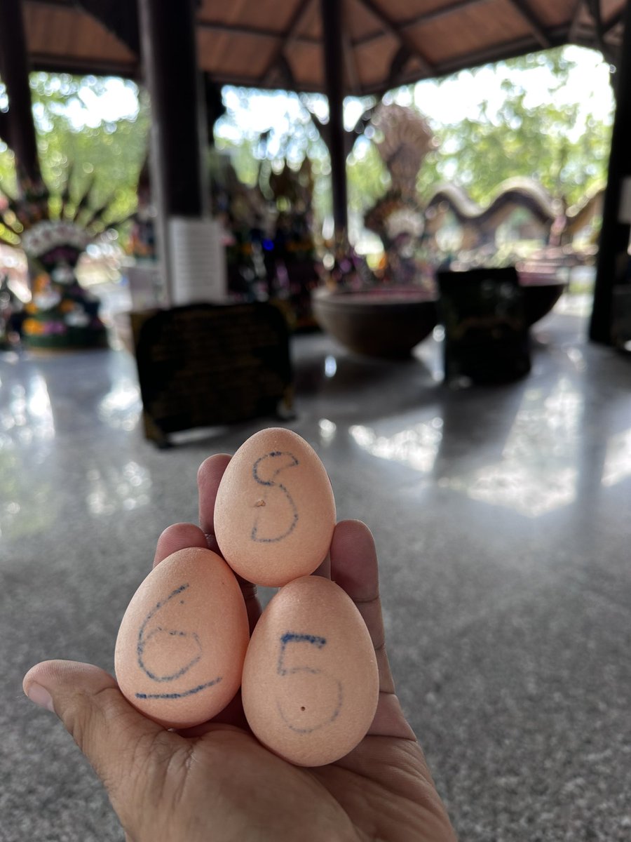 DeRunnyfunny's tweet photo. ช่วงบ่ายของวันอาทิตย์ไม่ได้ไปครับ
มีอาการป่วย วันนี้เริ่มดีขึ้นมีโอกาสแวะไป
ได้ชุดความรวยมาครับ !!!

658
58 85  68 86 65 56

ลุงแนบผ้าป่ามาด้วยเผื่อท่านไหนอยากร่ยมทำบุญ

มาสำลักความรวยกันครับ โชคดี !!!!! https://t.co/CL6vc0oxWj