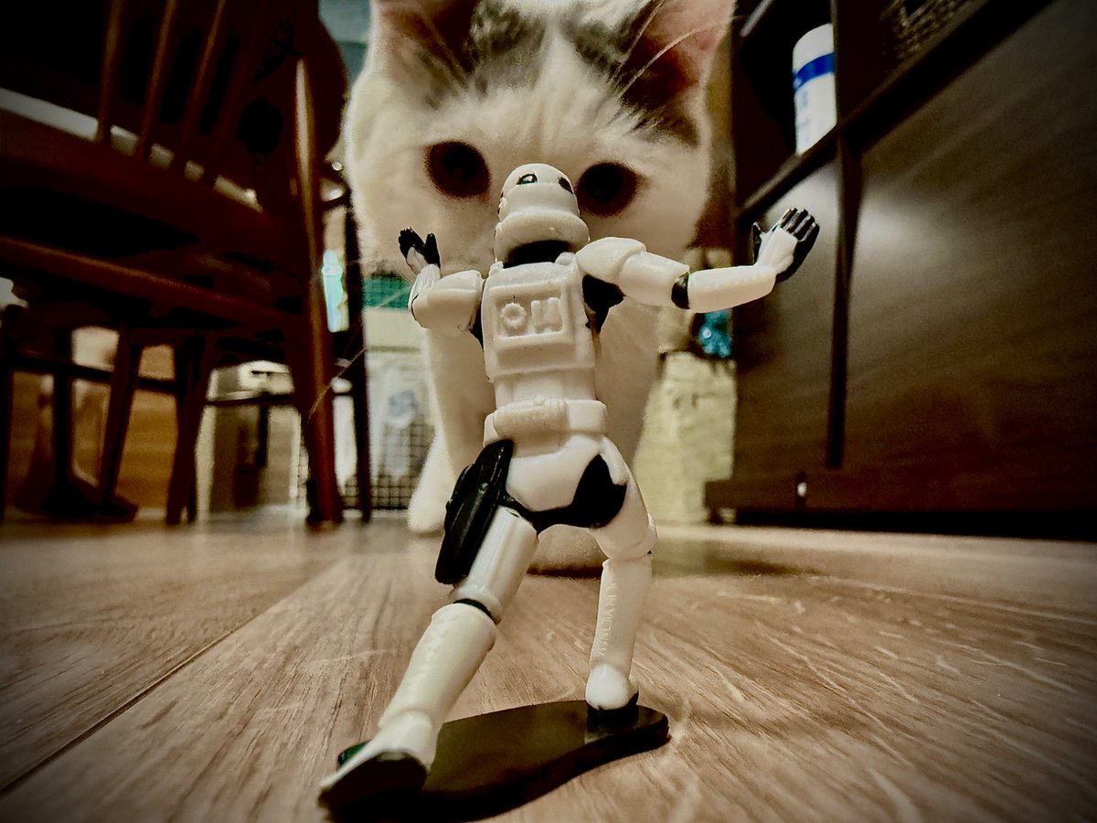 ldToTbl's tweet photo. 「ここは俺に任せて先に行け！」なのかな
娘がSTAR WARS好きな私のためにガチャのお土産と写真を撮ってくれた。

"I’ll hold the line! Go on without me!"
Knowing my love for Star Wars, my daughter got me this gachapon as a souvenir and captured this incredible moment. https://t.co/GpE08bwNzm