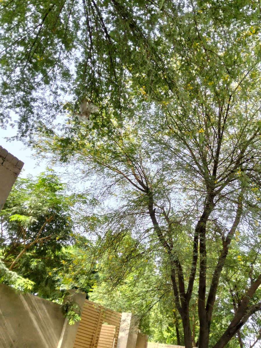 RTone58570's tweet photo. Shiny weather 🌡️ https://t.co/7ZyELONWrO