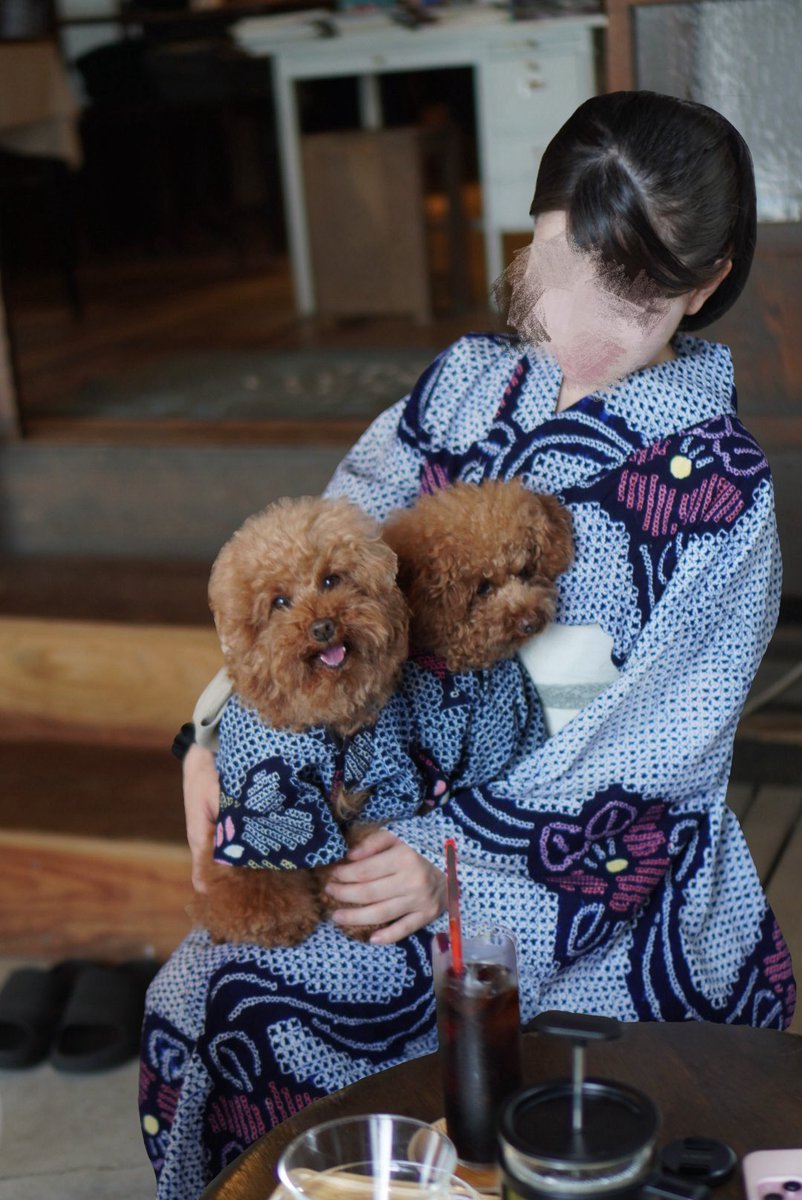 HIhappytime's tweet photo. お揃いの有松絞りの浴衣でおでかけ🐶
犬たちの浴衣は自分で手作り🤍🍧 https://t.co/EGzzV4LJfu