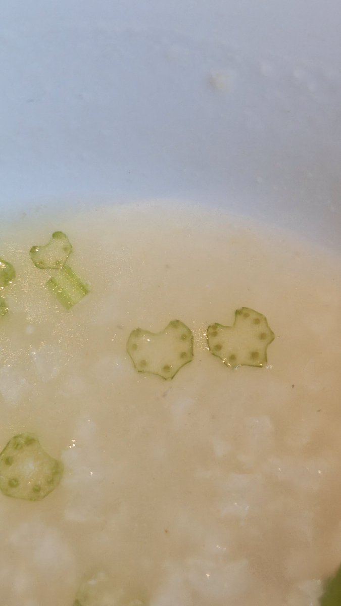 Lumixo77's tweet photo. 芹菜碎都是我的爱☺️ https://t.co/glt2IG1OHd