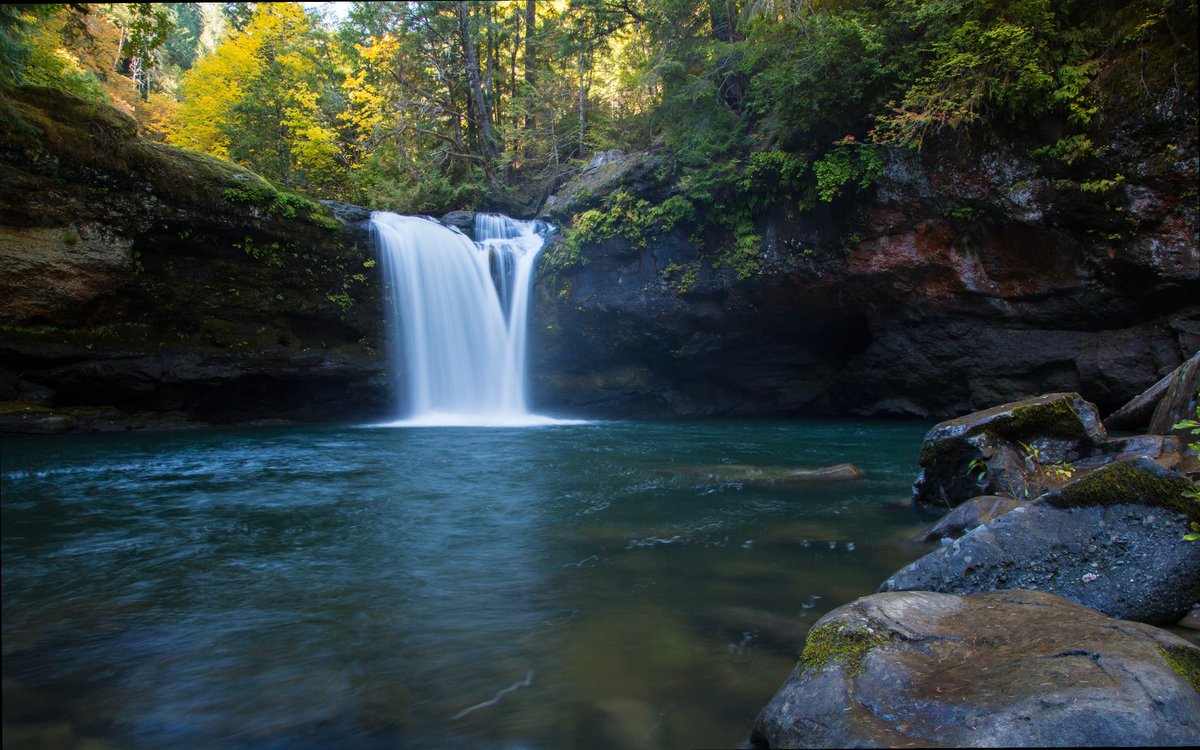 FrancesVilc9's tweet photo. The morning sun never lasts a day.🧾🐯
Trying to find someone who and enjoys good conversations. I’m a driven bookworm. https://t.co/LCYooV2CYQ
