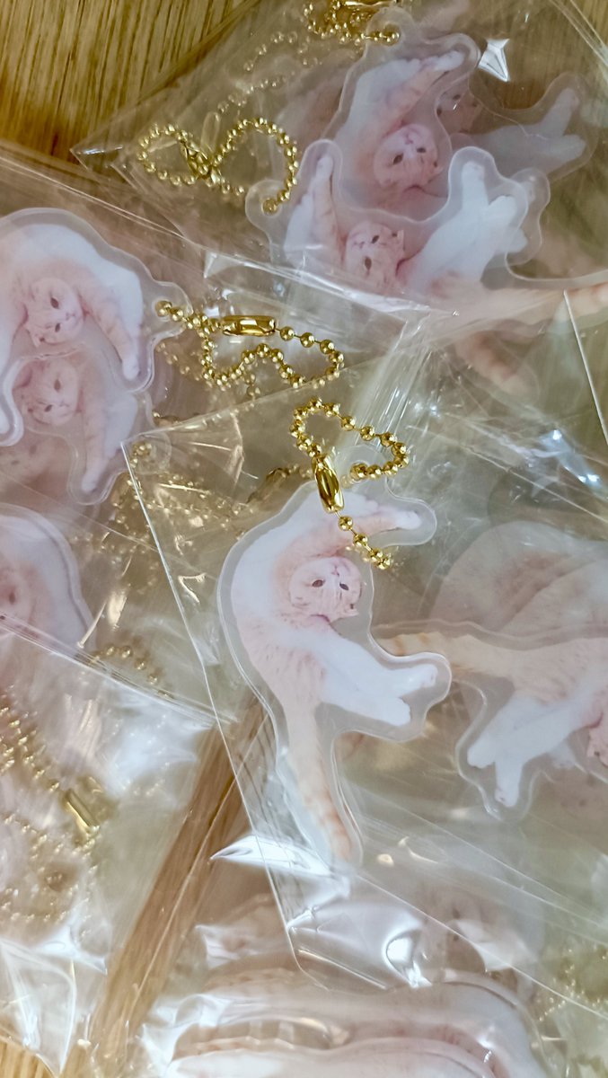 totsuno's tweet photo. めちゃくちゃになってる猫のアクキー出来上がってきて普通にｱ゛!!!!!!て声出た─── https://t.co/oU96VGzt4V