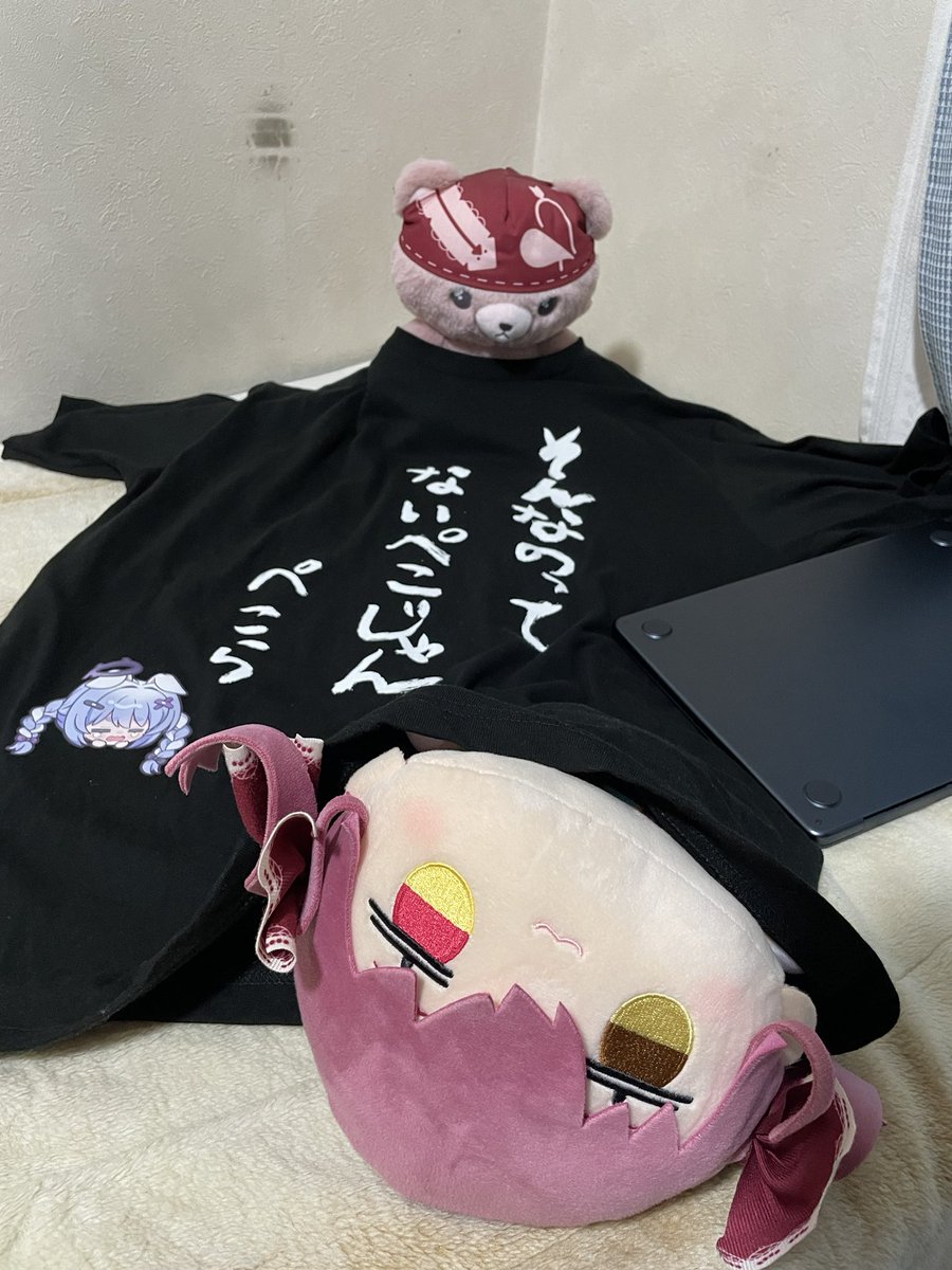 MhzdRw's tweet photo. #宝鐘海賊団ぬい撮り部
 #マリンぬい https://t.co/OH2DTuReRi