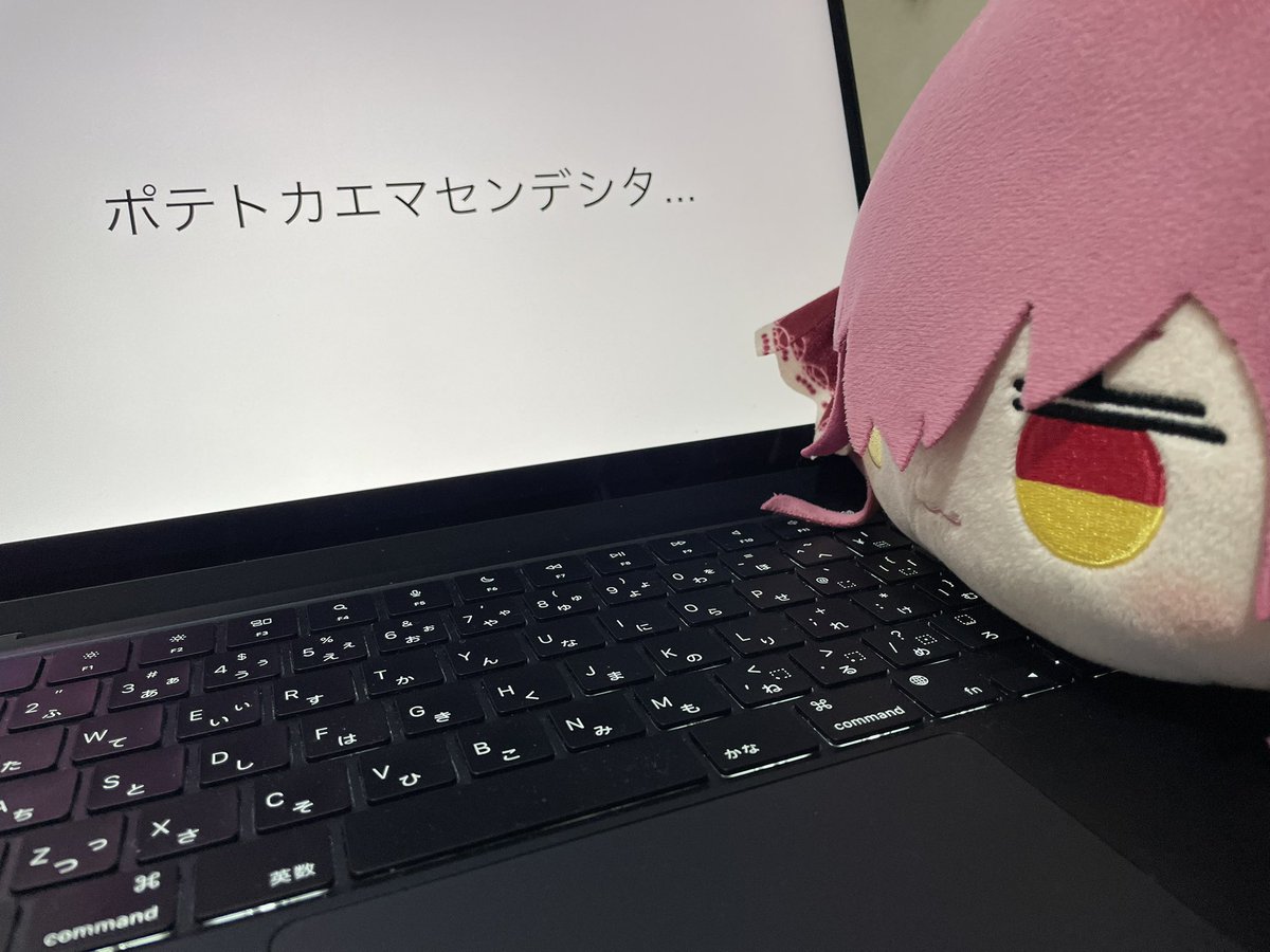 MhzdRw's tweet photo. #宝鐘海賊団ぬい撮り部
 #マリンぬい https://t.co/OH2DTuReRi