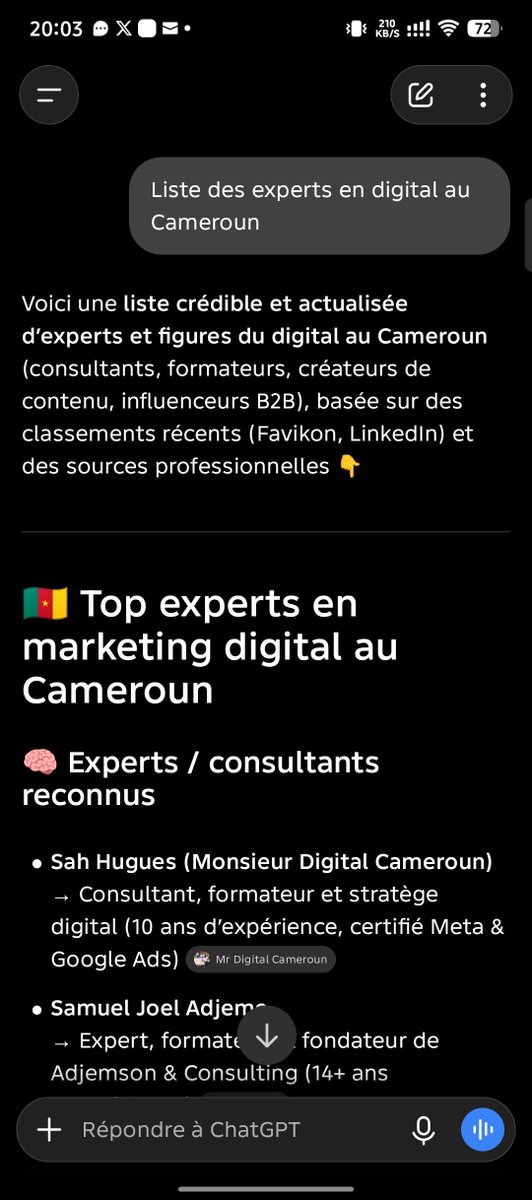 HghesSah's tweet photo. ChatGPT me classe en tant que 1er Expert en Marketing Digital au Cameroun🇨🇲

#chatgpt #markertingdigital #cameroun #expert  #monsieurdigitalcameroun https://t.co/yUghNcXDjT