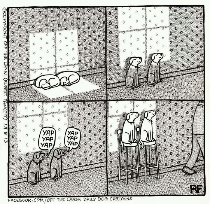 lavidaenvinetas's tweet photo. Rupert Fawcett
@RupertFawcett https://t.co/bwQrQM54tY