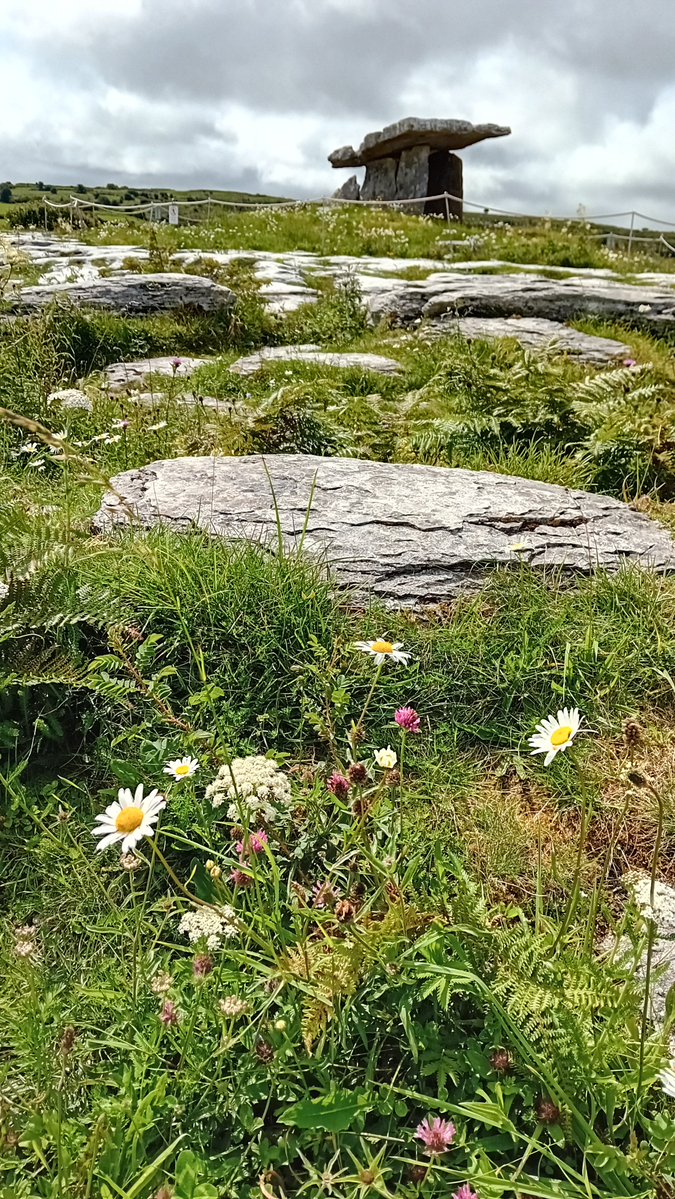 OdijkSandra's tweet photo. @jjmmli The Burren, Ireland https://t.co/GnU8MU9UbH