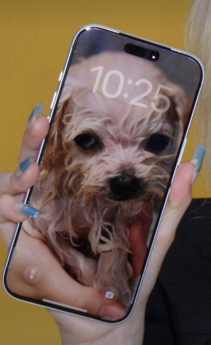 mjkmwntr's tweet photo. I wonder if this is Jiminie holding pponyo while Minjeong was taking a photo of her? https://t.co/bpqdkylMH0