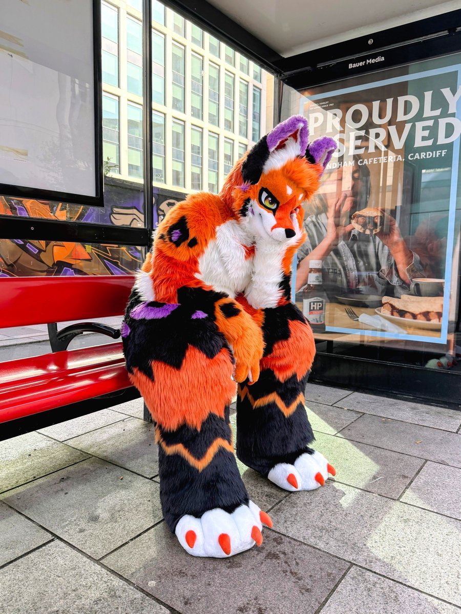 RennieTheFox's tweet photo. Yesterday had a cheeky menty b only to go on a cope by being a fox 🚏🦊 https://t.co/BCiVRxxUE0