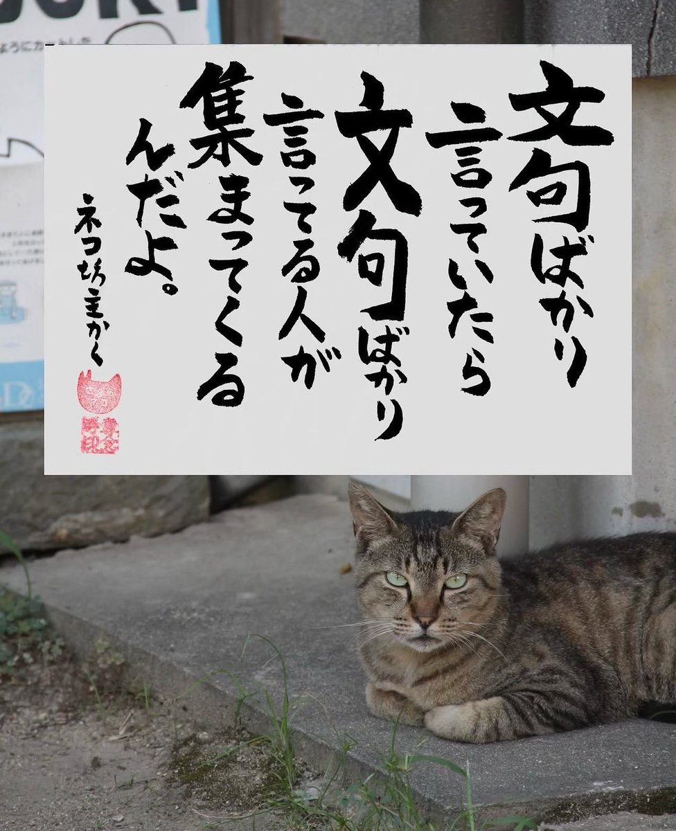 yabumoto610's tweet photo. ネコさんから人間さんへ今日の一言 https://t.co/Hoy1ALmbdl