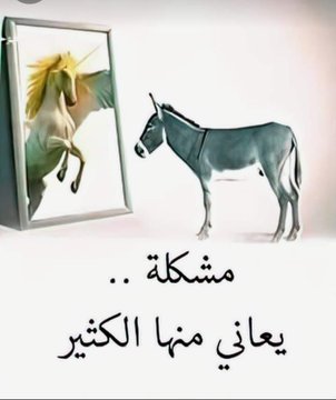 alelmalnafi's tweet photo. @G_Yousef1978 @jeddahmoon2003 قبح الله المنافقين
واثق من نفسك وأنت تنهق !!
عموماً أنظر إلى صورتك في المرآة لتعرف قدرك !!
شاهت الوجوه الكالحة !!
صدق الله ( أم حسب الذين في قلوبهم مرض أن لن يخرج الله أضغانهم ، ولو نشاء لأريناكهم فلعرفتهم بسيماهم ولتعرفنهم في لحن القول ) الآية https://t.co/whzMqgGclG