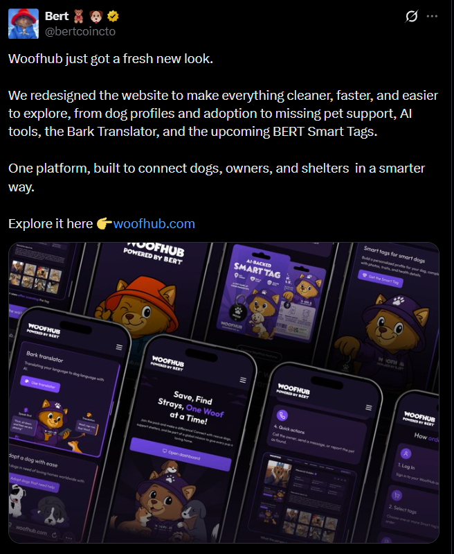 trader1sz's tweet photo. In my opinion that would be $BERT @bertcoincto

Nearly 2 years  old.  Has the IP rights  

They've built more to bring in holders and also to the IP brand than 99% of other meme projects.  

While others died this team is still building and holding up at macro support.  

This is more of a long term play to 1bil cap+ than quick short term pump dumps. 

 Holders can also stake and earn yield which hardly any other offers.  Survived the test  of time and active community