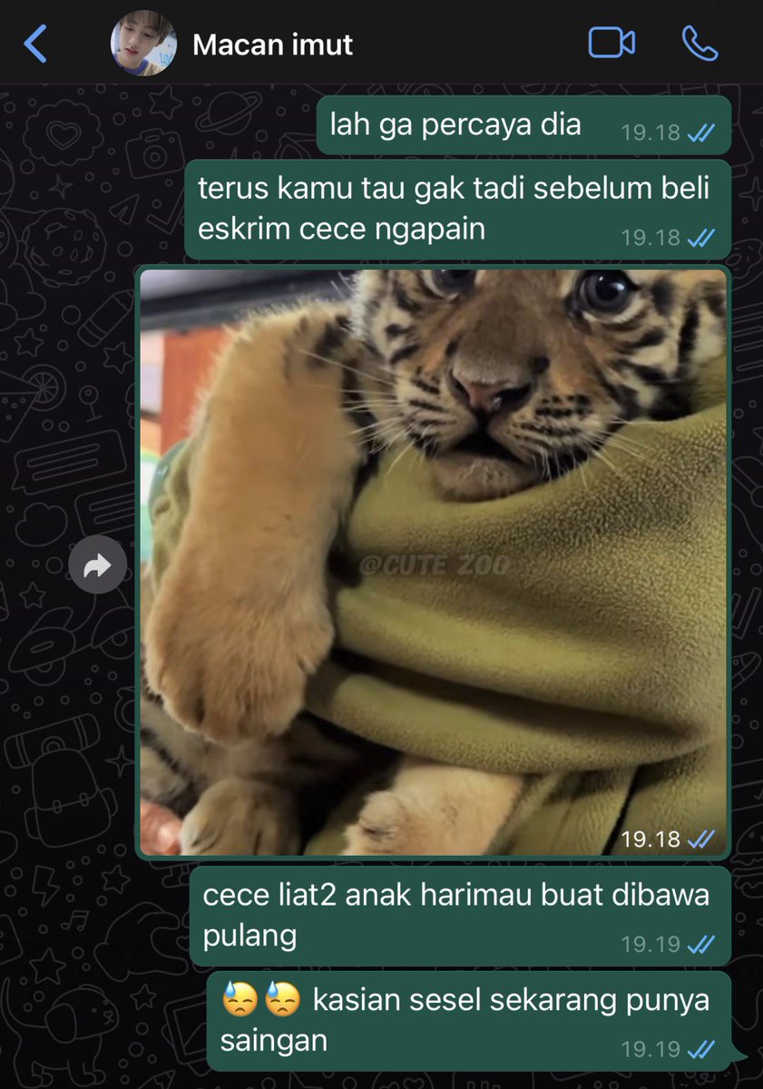 stellarhazelv's tweet photo. Jahilin sesel nomor 1, pas udah nangis baru panik https://t.co/jQHSSfQxw0