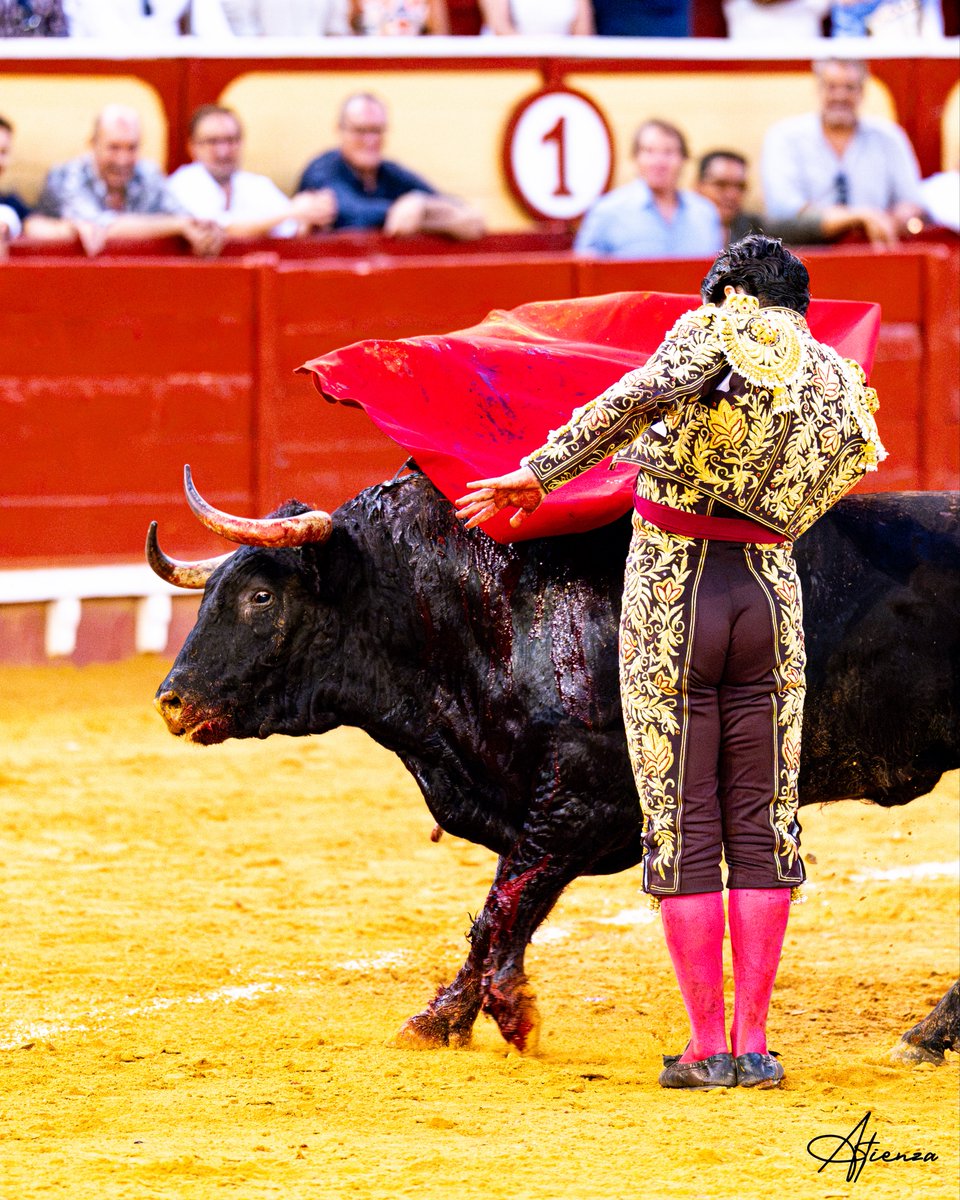 Atienza_Edu's tweet photo. 📸 • Morante de La Puebla. El Puerto de Santa María, 1 de agosto de 2026.
•
•
•
Fotografías originales de Edu Atienza.
@CircuitosToros 
#Toros #Cultura #Cádiz https://t.co/6jHDt3xoE8