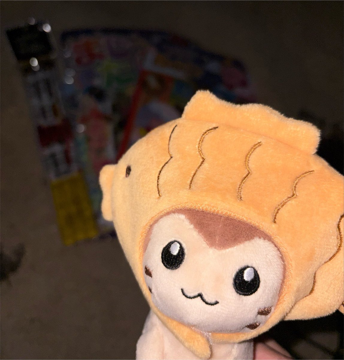Ri_Furret_iy's tweet photo. 最近こんな感じです〜　#ぬい活 https://t.co/lZMURZThjY
