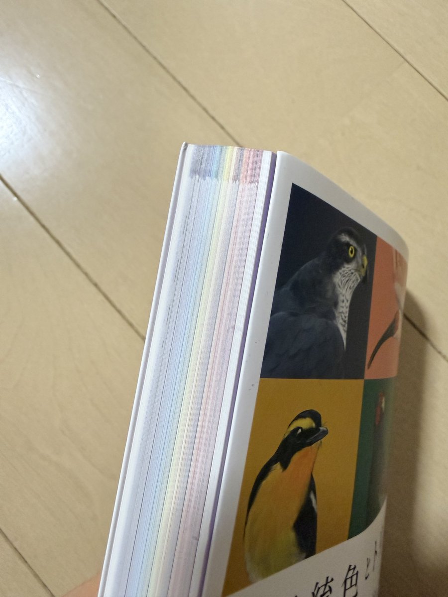 editor_ikimono's tweet photo. 📢本日発売📚

『伝統色とトリノイロ』
mililie 著
（三才ブックス刊）

お手伝いしたこの素敵すぎる本が、ついに発売されました👏

鳥たちの羽色に見る、日本人が愛した伝統色。
ページを捲るたびにうっとり癒されます。

なんと裁断面まで美しい〜😍
書店で見かけたらぜひ手に取ってみてください！ https://t.co/8OhrJlJZEn