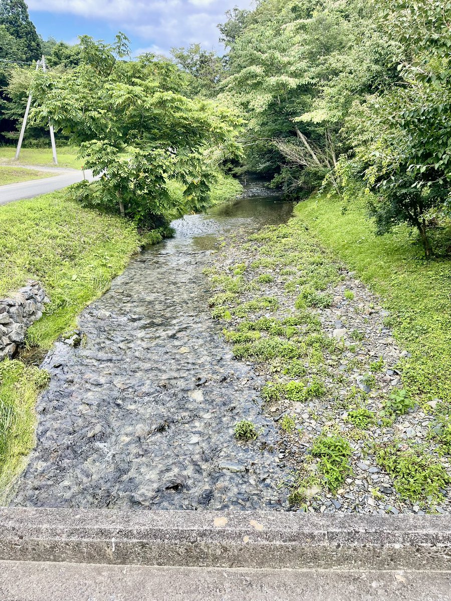 zakkivari's tweet photo. 気温ちょうどいいし風も気持ち良い。緑を求めてシルビアでオープンドライブ。登米のコーヒーippoさんへ。自然が素晴らしい。サンドイッチマンの伊達さんも言うてるけど歳とると植物を愛でられるのよ。家でもいつのまにかガーデニングやってるしね。 https://t.co/WZpj1gDLoL
