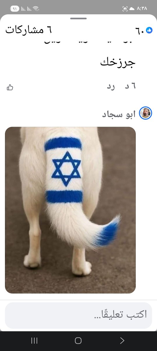 zwpekr's tweet photo. @ALI_M2025_ حظرتك شاذ جنسي من كنت في المعتقل تحب الجماعي مع الذكور https://t.co/Vd6tdfrmti