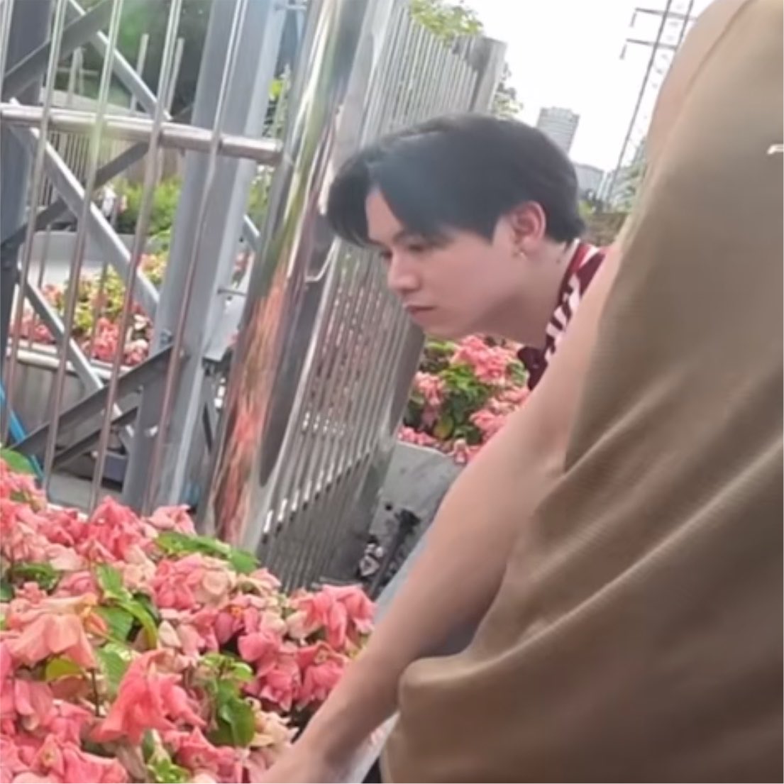 ktlism's tweet photo. ดูยัยนี่จิ ตาใส ๆ แก้มกม ๆ ที่กำลังชมดอกไม้ 🥺🌷

SATANG X ARMSHARE

#ARMSHAREEP210
#satangks https://t.co/42T1NAsln2