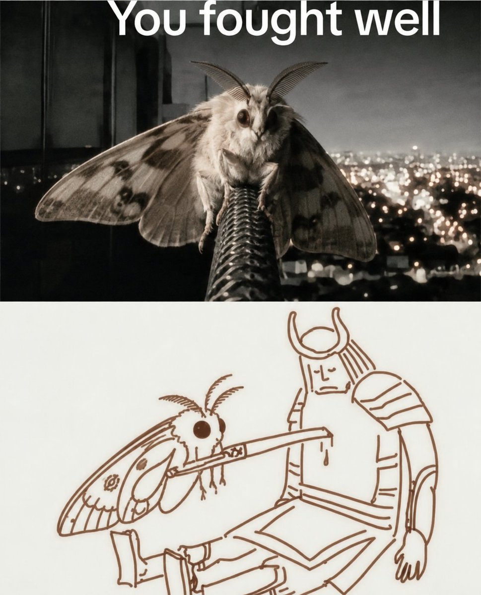 mothvslamp's tweet photo. 🥷

$lamp on base

0x3f0cd4371b55aa7827e2ecc4f76db46861289675

$moth on sonic

0xD259C1ae13e4AcD745556913D044f08542418875 https://t.co/Qo7ApnhV3x